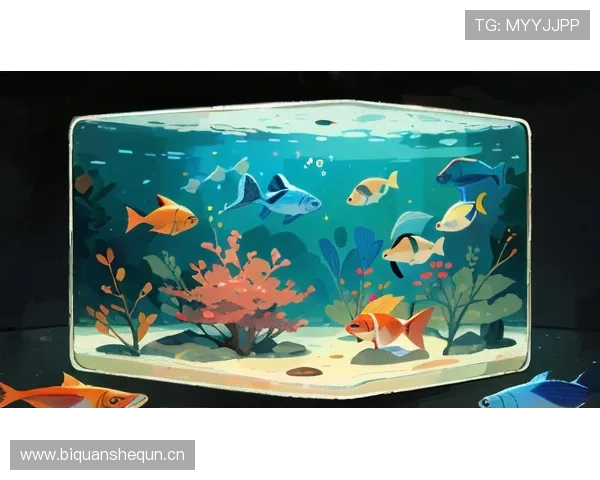 汪顺家里到底是装了多少鱼缸？感觉他一出门都能带着海洋气息了